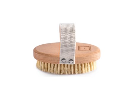 BRUSH BODY DRY CECO on Sale