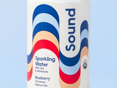 SODA 355ML SOUND BLUEBERRY WITH CINNAMON AND HIBISCUS TEA Sale