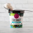 SORBET 160Z COCONUT PITAYA For Discount