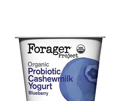 YOGURT 150G ORG BLUEBERRY FORAGER Online Hot Sale