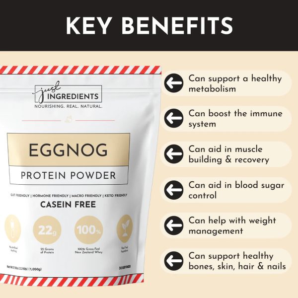 PROTEIN 1.050G EGGNOG JUST INGREDIENTS Cheap