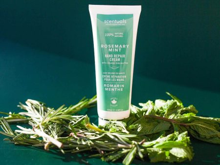 HAND CREAM 59ML ROSEMARY MIN Online