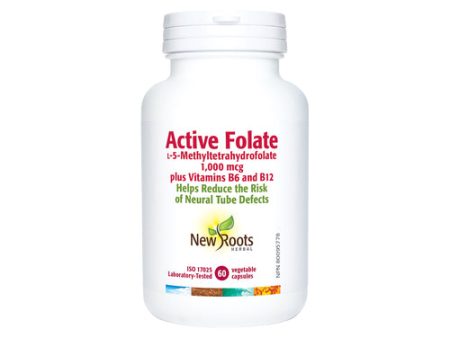 ACTIVE FOLATE 60CAP NROOTS Cheap