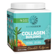 COLLAGEN PROTEIN 500G CHOCOLATE Cheap