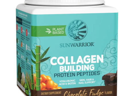 COLLAGEN PROTEIN 500G CHOCOLATE Cheap