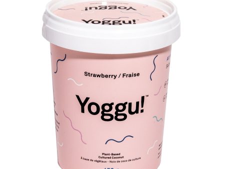 YOGGU 450G FRAISE Discount