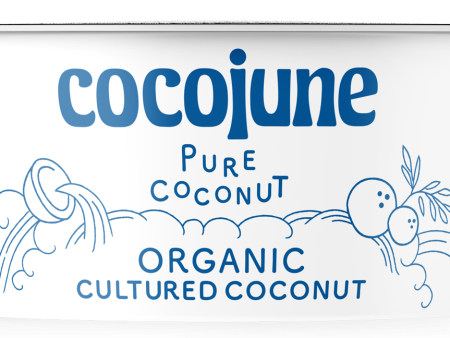 YOGURT 114G COCOJUNE PURE COCONUT Online Hot Sale