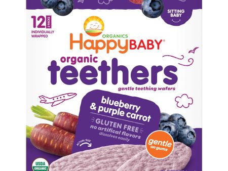 TEETHERS 48G BLUEBERRY CARROT Sale