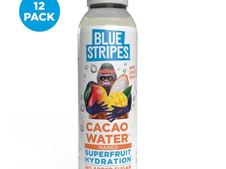 WATER 296ML BLUE STRIPES MANGO For Sale