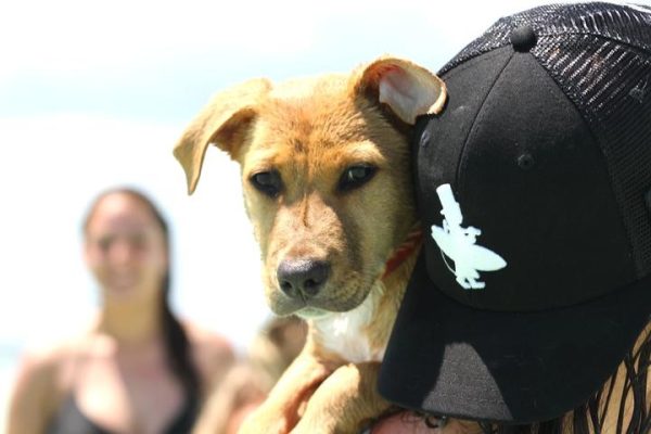 The Original Lost Boy Hat - Black Fashion